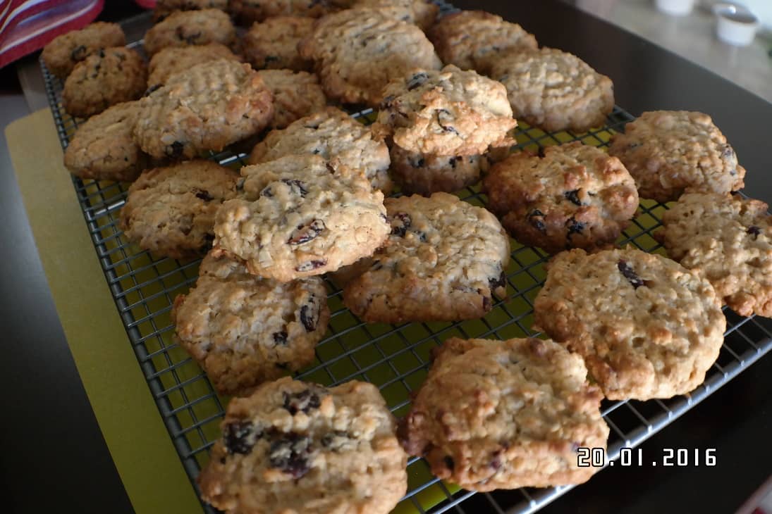 cranberry white chocolate oaties