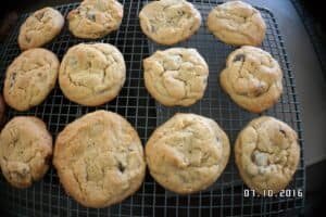 peanut butter dark choc cookies 1