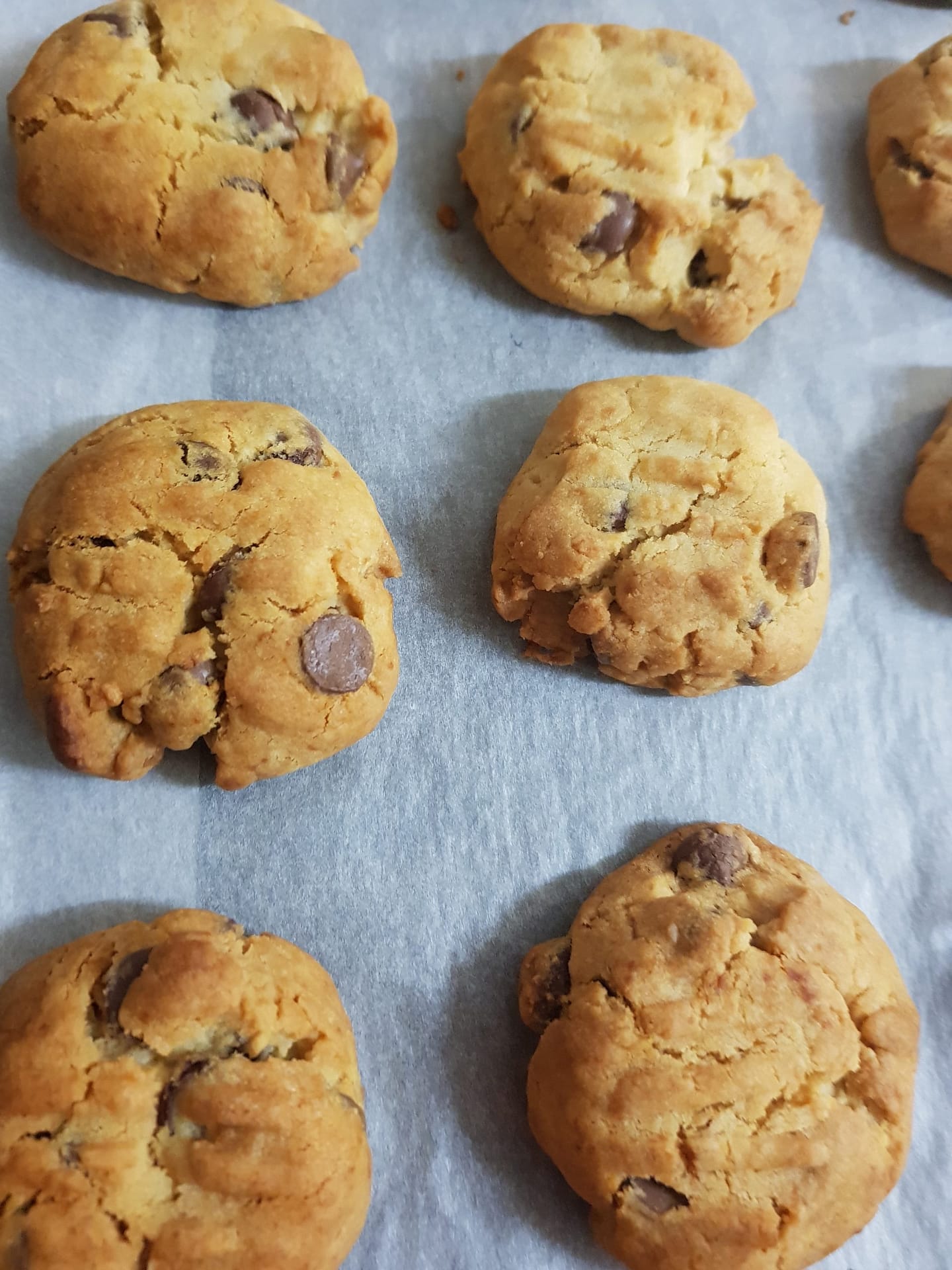 Chocolate hokey pokey biscuits scaled