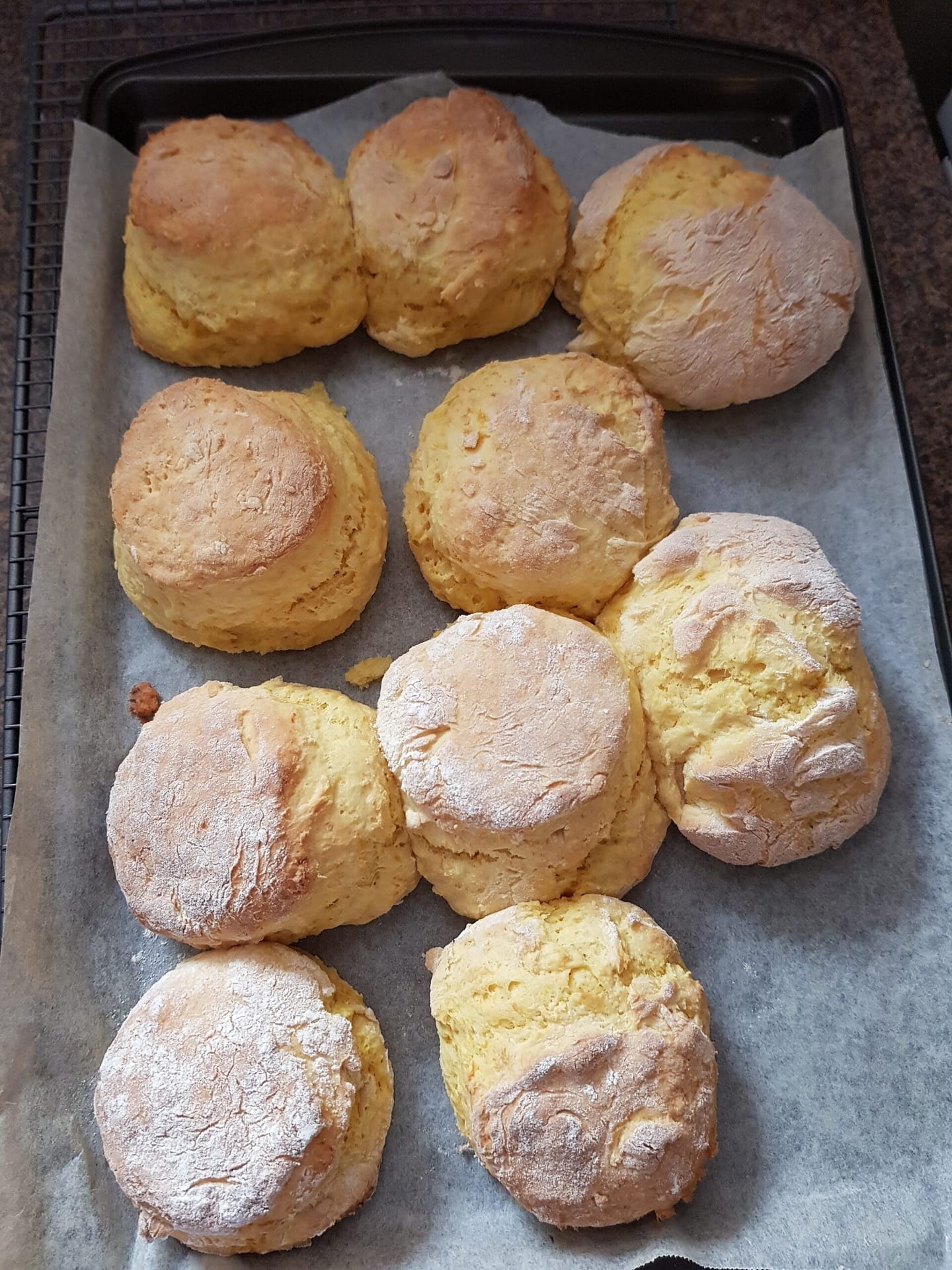 pumpkin scones